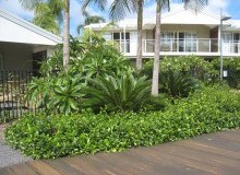 Kwikfynd Residential Landscaping
stalbansnsw