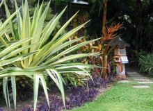 Kwikfynd Tropical Landscaping
stalbansnsw